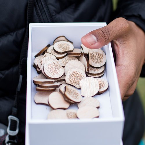 An open white box filled with laser-cut wooden dandelion tokens, ready to hand out to visitors on Governors Island